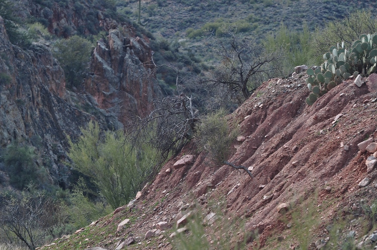 terrain